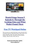 Watch Fringe 5x6 Through the Looking Glass and What Walter Found There
