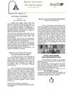 Boletim Informativo - Novembro 2012
