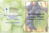 Accueil chez les vignerons des Coteaux Vitryats