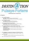 Programme " Destin@tion Puisaye-Forterre Numérique"