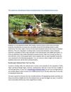 Elephant safari tour India