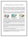 Cardboard Boxes for Sale