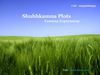 Shubhkamna Plots Yamuna Expressway Call @ 9555666555