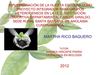 HUERTA ESCOLAR MI TIERRA