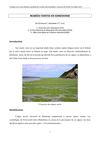 Colloque Stortebeker