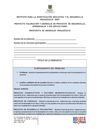 Formato Formulación de Proyectos