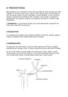 prehistoria