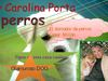 Presentación1
