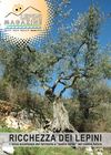 Lepini Magazine Novembre 2012