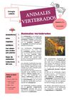 animales vertebrados
