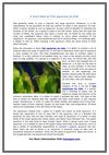 A Short Note on Fish Aquarium for Kids