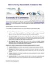 How to set up successful e-commerce site?