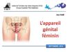 Les appareils génitaux masculin et féminin (2012)