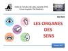 Les organes des sens (2012)