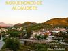 NOGUERONES DE ALCAUDETE, RAÚL