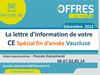 Votre Newsletter Low Cost CE84 spécial fin d'année