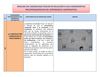 Analisis del Knowledge Forum 