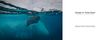 Voyage en Antarctique