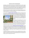 Apartments For Rent In Palm Springs Gurgaon