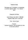 Sistemas económicos como herramientas de toma de decisiones políticas (Dorina Anich-Alejandra Nuñez)