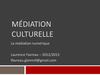 Médiation culturelle, 3. Médiation numérique