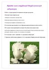 Работа с интернет ресурсами