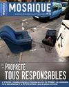 25_mosaique_mars_2011