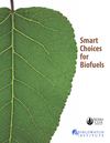 Worldwatch | Smart choices for biofuels