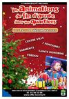 Animations de Noël 2012 à Taverny