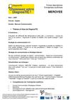 Fiche DiagnosTIC - Merovee