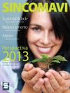 Revista SINCOMAVI 27
