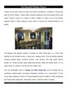 Tampa hotels