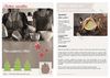Fiches recettes de Noël