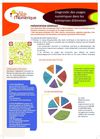 Diagnostic des usages numériques dans les entreprises Dromoises