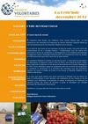 La Lettr'Info décembre 2012 - France Volontaires