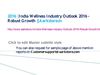 India Wellness Industry Outlook 2016 - Robust Growth in Alternative