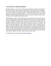 A Brief about the Columbus Bail Bonds 
