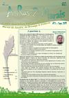 A Ras 2 Marais n°5