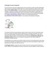 Il_Chirurgo_-_PDF_Erik