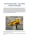 Bird Watching in India – Tips to Make Experience Memorable 