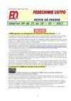 FEDECHIMIE CGTFO - Semaine 04 - 2013