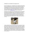 Pet Sitting: The very best Remedy You can acquire For Pets