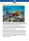 Bahia Terra de Belas Praias Atrativos Naturais e Rica Cultura