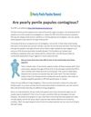 Are Pearly Penile Papules Contagious