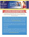 Why Therapy Centers Are Preferable To Individuals For Massage Therapy Yorba Linda