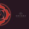 Antara brochure 