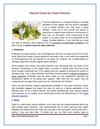 Natural Cures for Yeast Infection