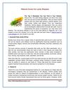 Natural Cures for Lyme Disease