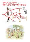 EVOLUCIÓN DE LOS HOMINIDOS
