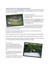 Improving Your Life with a Raised Garden Bed